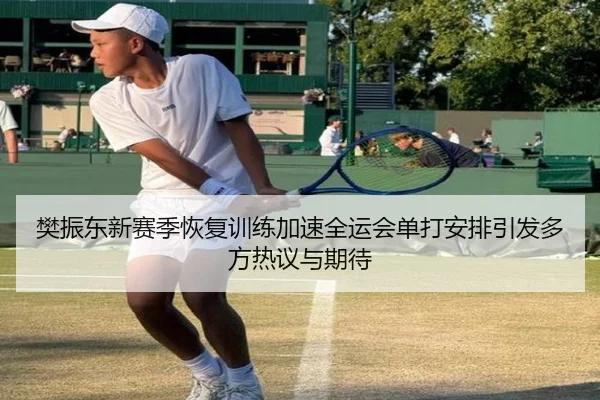 樊振东新赛季恢复训练加速全运会单打安排引发多方热议与期待